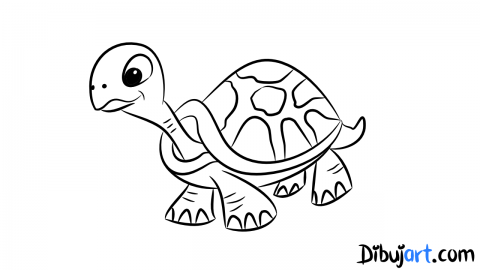 Bosquejo o Sketch de una Tortuga para dibujar paso a paso