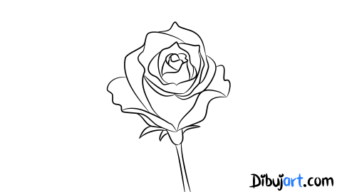 Cómo Dibujar Una Rosa 1 Serie De Dibujos De Rosas Dibujartcom