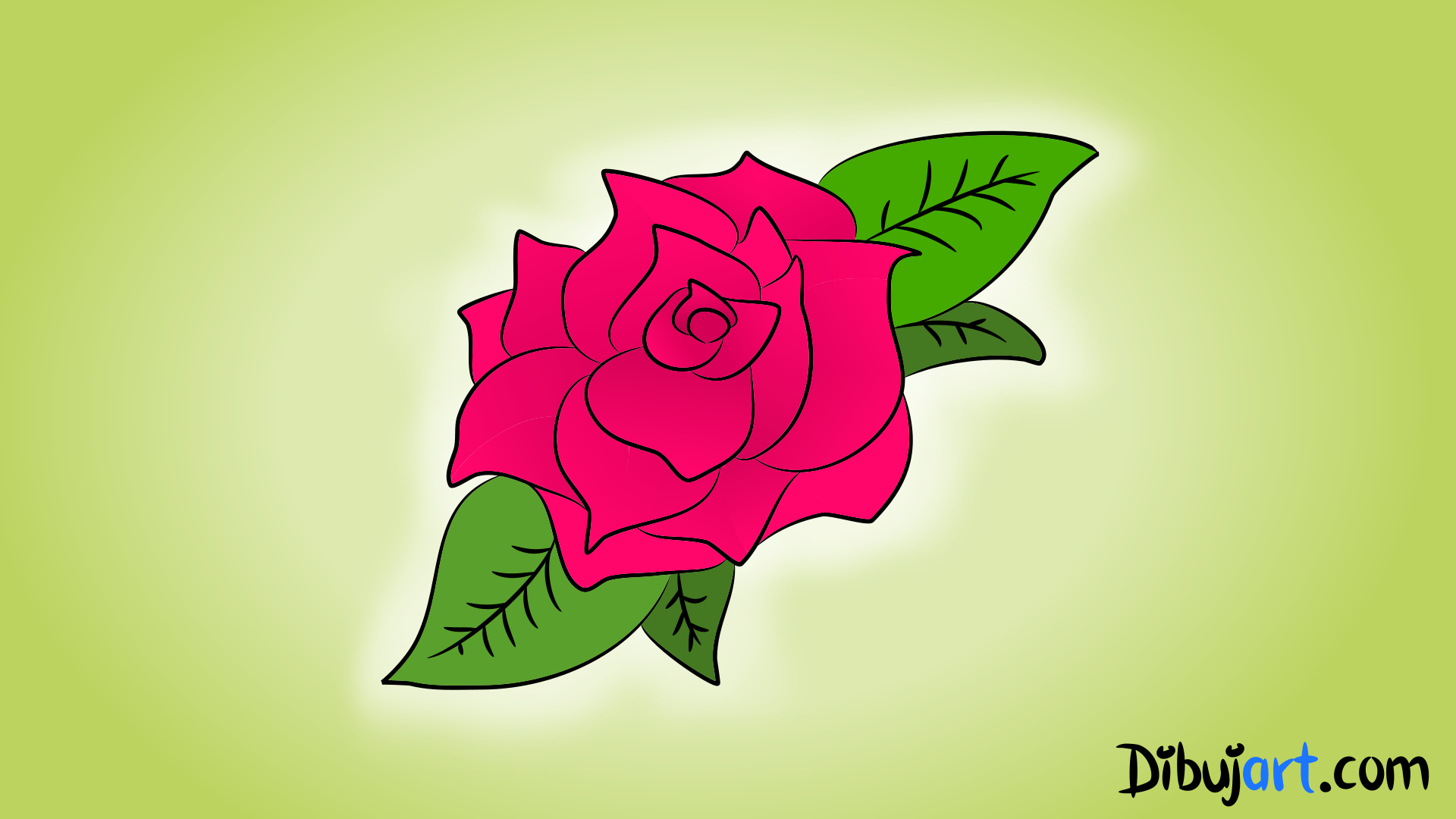 Cómo dibujar una Rosa #2 - Una Rosa color Fucsia 