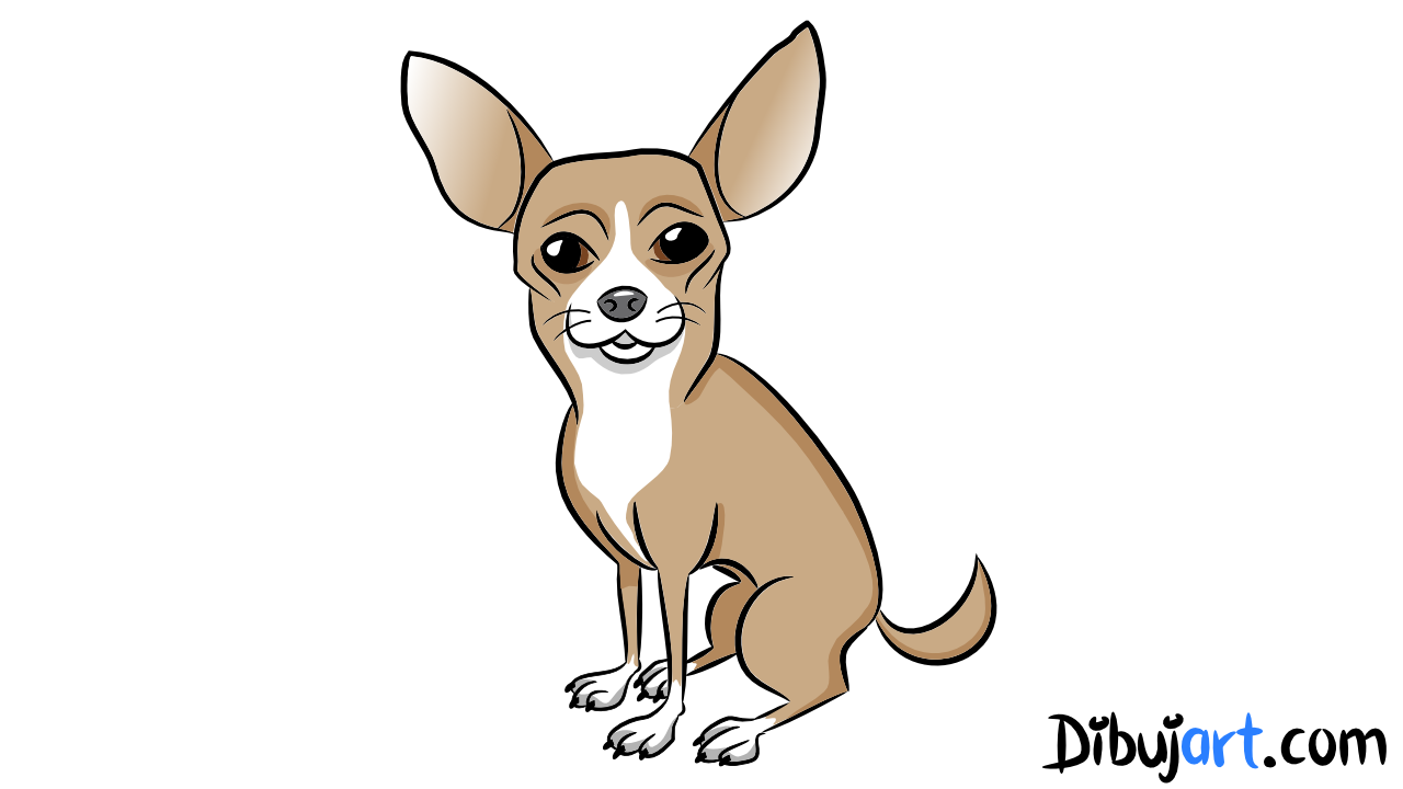Como dibujar un Chihuahua paso a paso 