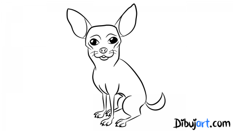Bosquejo o sketch de Chihuahua