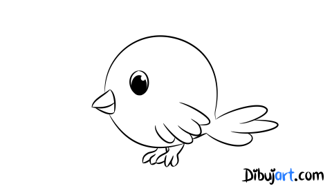  Como dibujar un Pájaro sencilla y fácil - Sketch o Bosquejo para colorear
