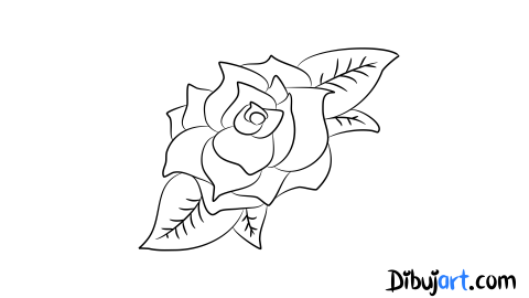 Como dibujar una Rosa - Sketch o Bosquejo para colorear