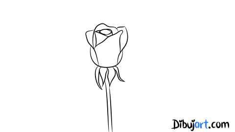 Como dibujar una Rosa rosada- Sketch o Bosquejo para colorear
