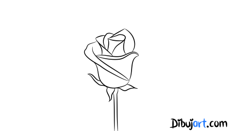 Como dibujar una Rosa - Sketch o Bosquejo para colorear